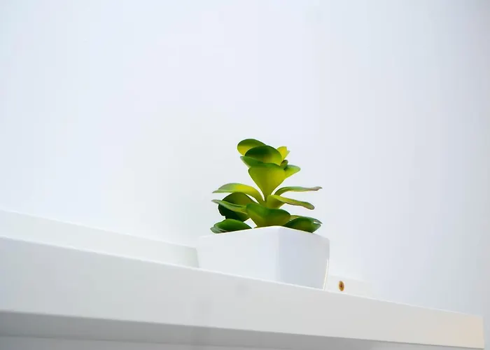 Cantinho Flores I