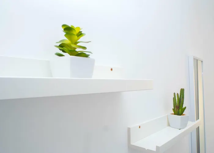 Apartmán Cantinho Flores I